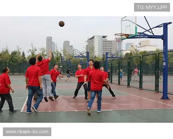 申博体育app的最新功能与用户反馈分析