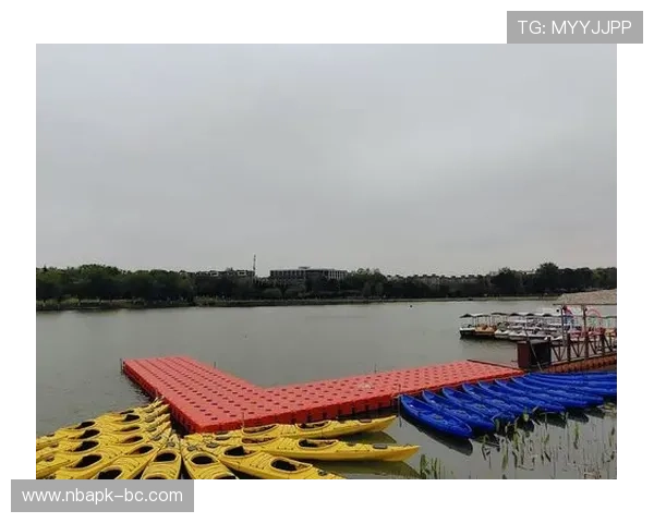 利升体育多元化的体育赛事覆盖，满足不同用户的个性化体育娱乐需求