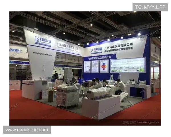 多米体育国际官网入口官方入口地址及其安全性分析与验证